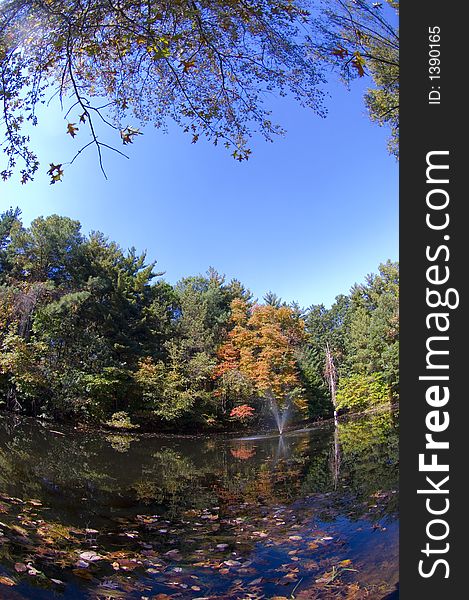 Pond and fall leaves with wide angle