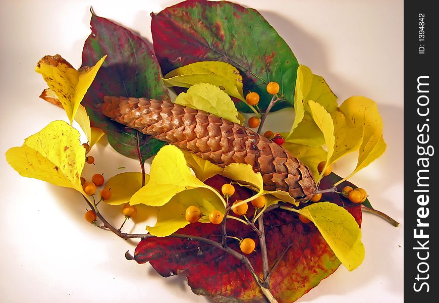 Autumn Leaves with Pine Cone