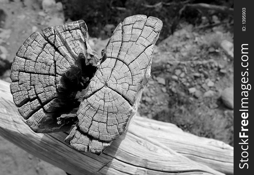 Closeup of the post of a fence. Closeup of the post of a fence