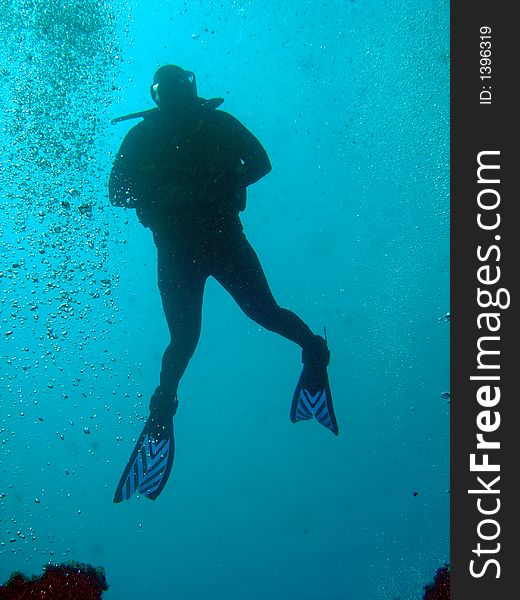 Diver ascending towards the light. Diver ascending towards the light