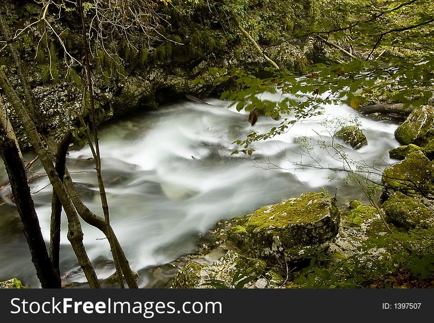 This frame of the river in the forest was taken in Slovenia. I used long exposer. The water received nice color.