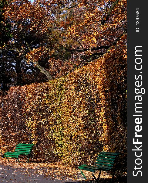Autumn park view with benches