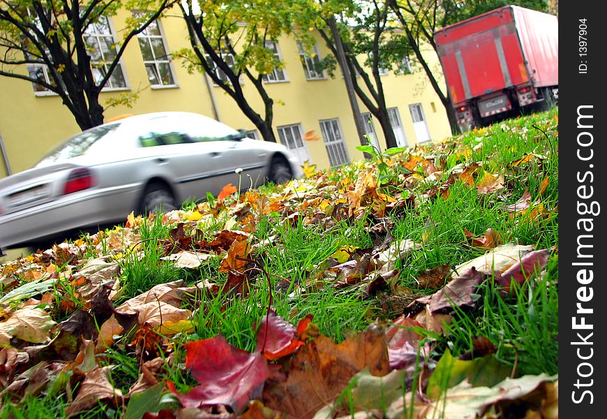 Fallen leaves and speeding cars; focus on leaves. Fallen leaves and speeding cars; focus on leaves