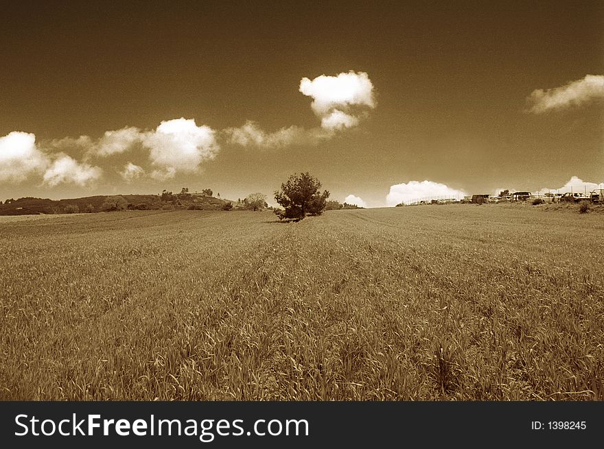 Sepia photo depicting a lanscape of minimal aesthetics. Sepia photo depicting a lanscape of minimal aesthetics