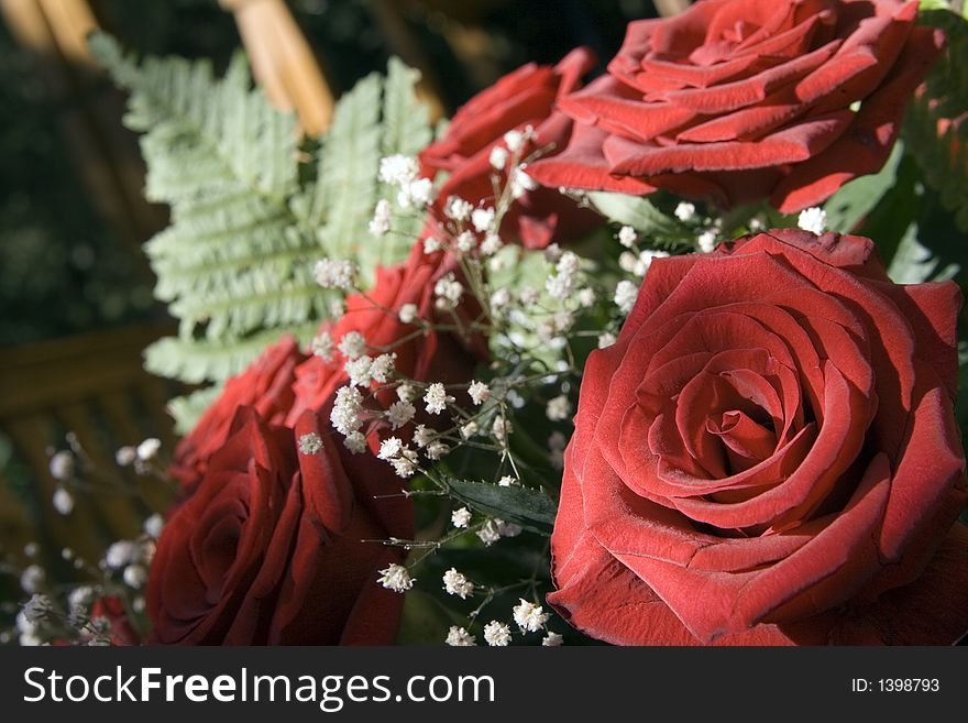 Bunch Of Red Roses