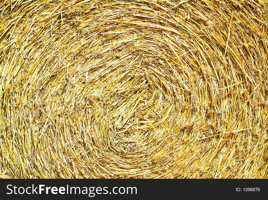 A fresh roll of straw photographed on a sunny day in August. A fresh roll of straw photographed on a sunny day in August