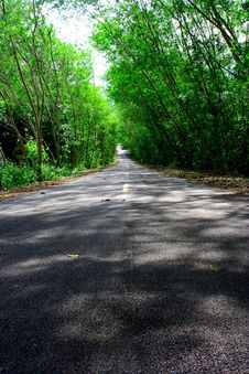 Natural Tunnel Road Stock Photography Natural Tunnel Road Stock Photography