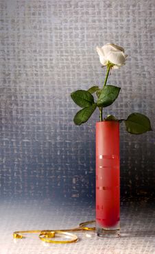 Still Life With One White Rose Stock Photography Still Life With One White Rose Stock Photography