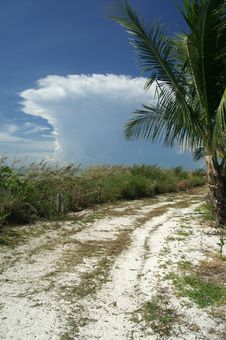 Mushroom-Shaped Cloud Over Sanibel Island Royalty Free Stock Photography Mushroom-Shaped Cloud Over Sanibel Island Royalty Free Stock Photography