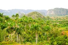 Vinales Valley Royalty Free Stock Photography Vinales Valley Royalty Free Stock Photography