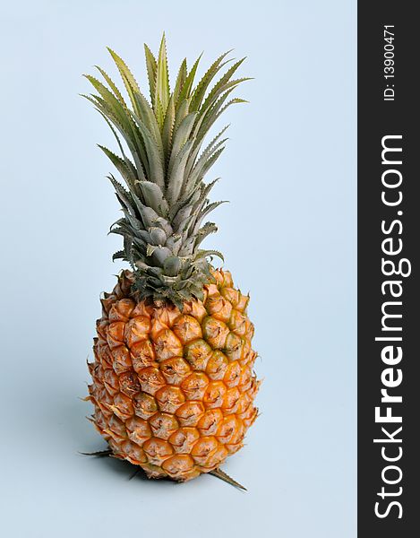 Light blue background of the single pineapple