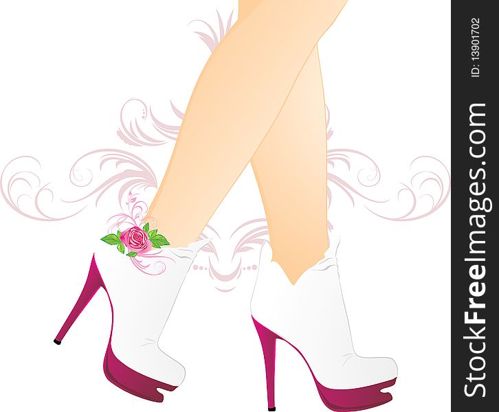 Elegant stylish female shoes. Illustration. Elegant stylish female shoes. Illustration