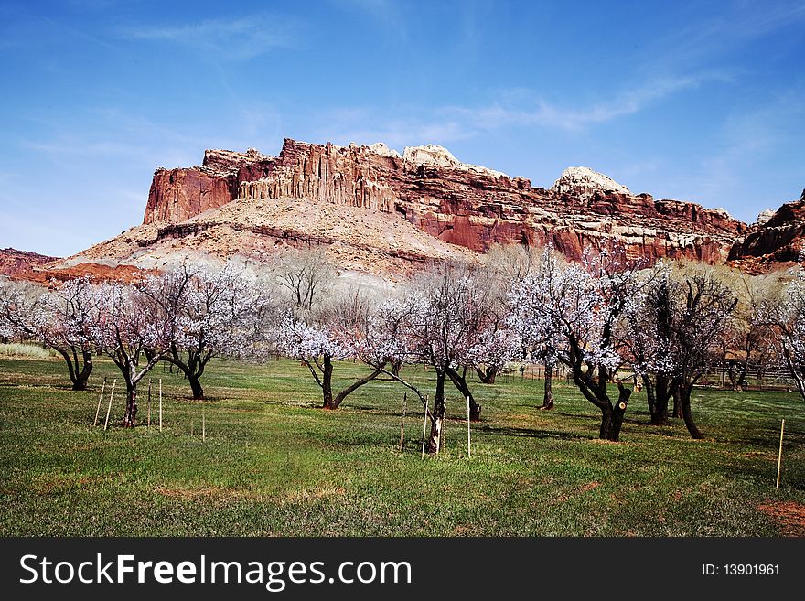 View of the red rock formations in Capitol Reef National Park with blue skyï¿½s and clouds