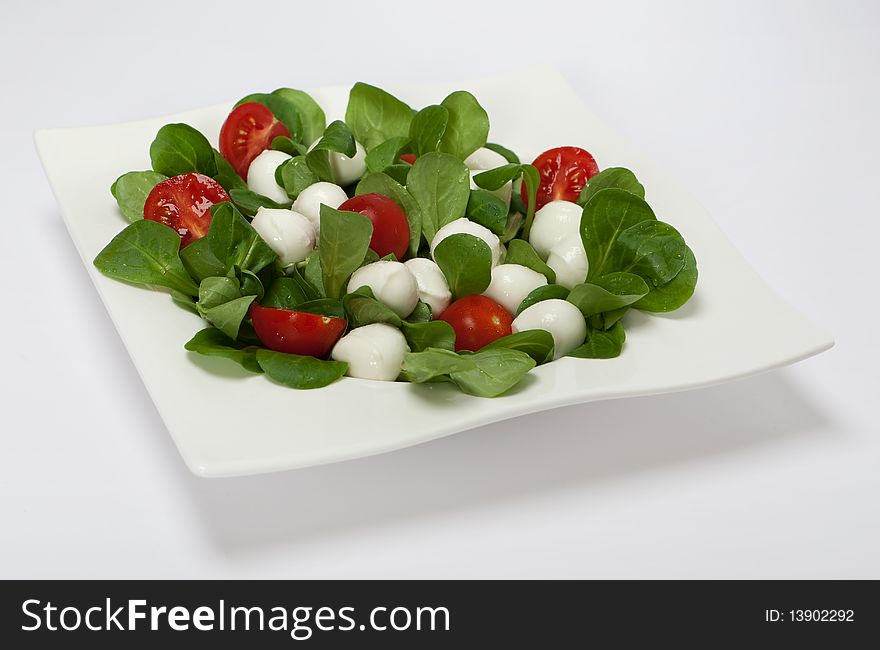 Mozzarella. plate garnish with small tomatoes and salad