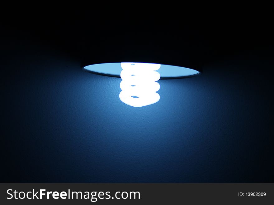 Compact Fluorescent Lightbulb on a blue wall
