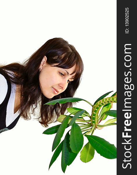 Girl bent over and considers the plant with big leaves. Girl bent over and considers the plant with big leaves
