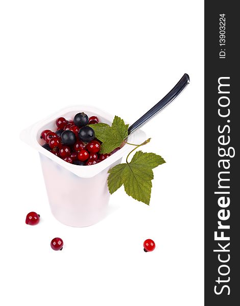 Yoghurt with black and red currants