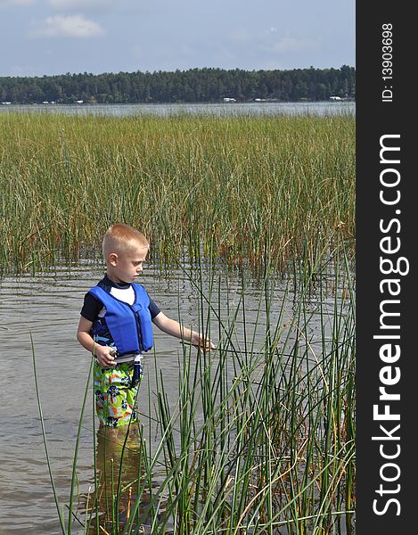 While taking a break from their boating, a family's son goes exploring in the reeds on an island in the middle of the lake. While taking a break from their boating, a family's son goes exploring in the reeds on an island in the middle of the lake.