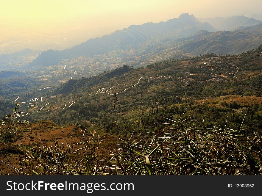 Up high in Tubberk peak at Petchaboon, Thailand. Up high in Tubberk peak at Petchaboon, Thailand