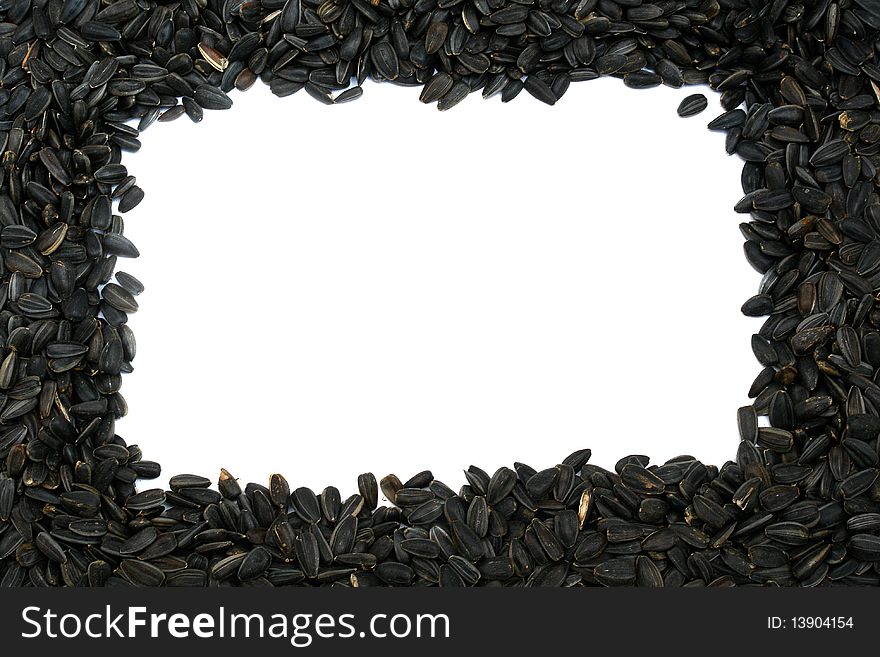 Unpeeled sunflower seeds isolated on a white background