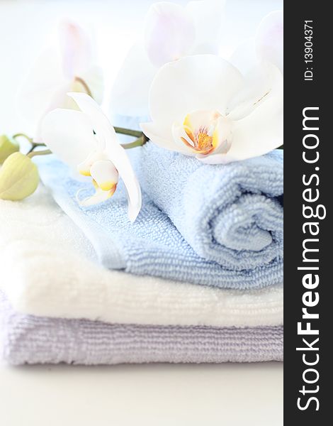 Orchids over towels