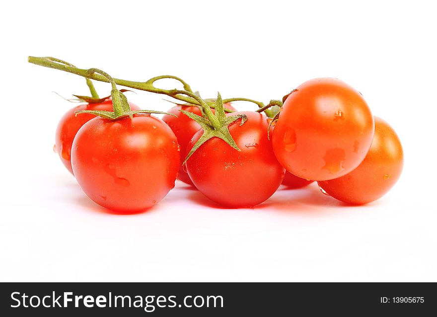 Red tomatos on white background