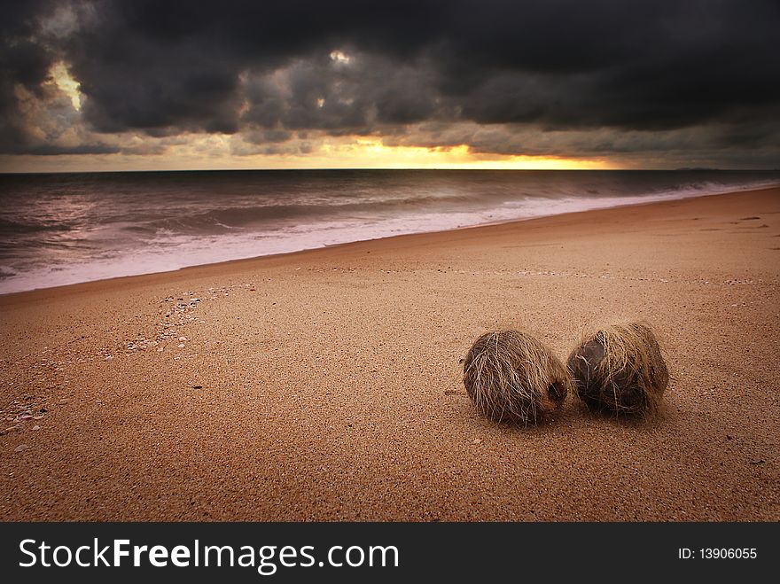 Sunrise at Teluk ketapang beach with two coconuts. Sunrise at Teluk ketapang beach with two coconuts