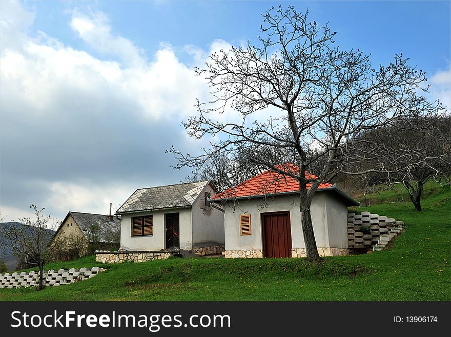 Weekend Houses in the Nature, grass is green