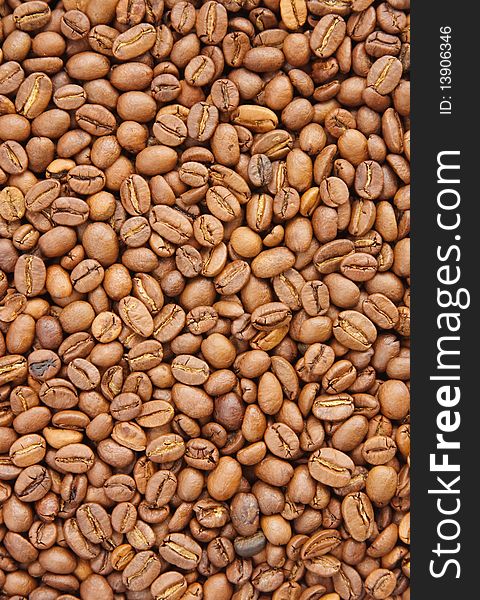 The background from coffee grains