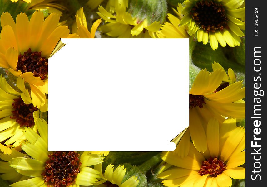 Frame With Sunflowers