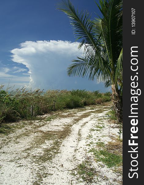 Mushroom-Shaped Cloud Over Sanibel Island