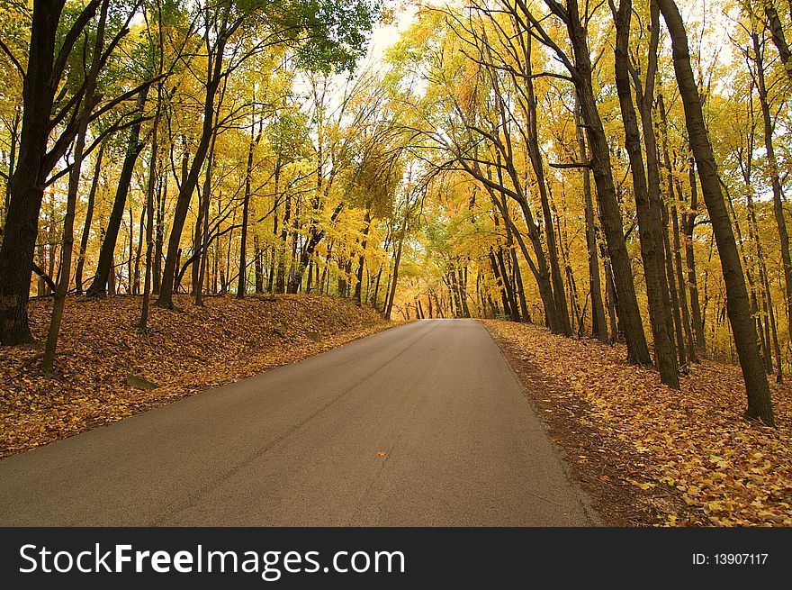 The autumn colors make this drive through rural Illinois golden. The autumn colors make this drive through rural Illinois golden.