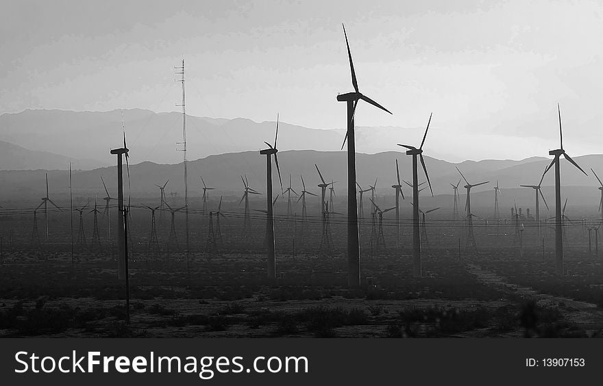 This was taken on January 26th at 4 pm in Joshua Tree, California. This was taken on January 26th at 4 pm in Joshua Tree, California.