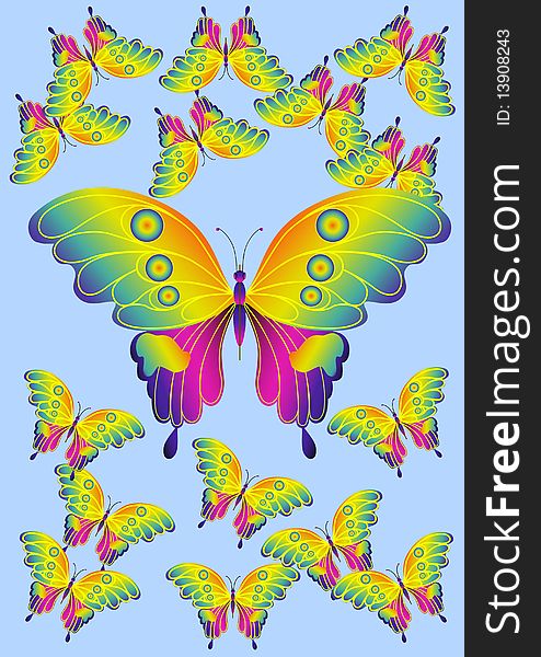 Butterfly nature image insect beauty design color