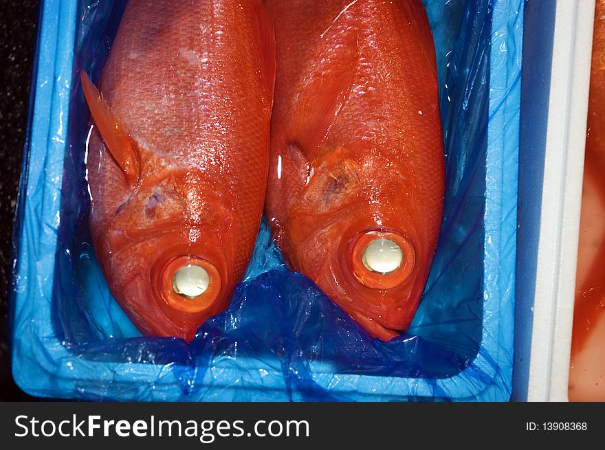 Two red fish at Tokyo fish market. Two red fish at Tokyo fish market