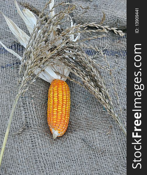 Corn around fry corn flowers on jute bag