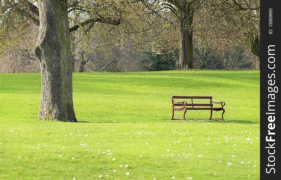 Bench In A Park