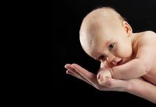 Newborn Baby Stock Photography Newborn Baby Stock Photography