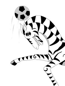 Zebra.football Royalty Free Stock Images