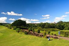 Golfer Searching His Ball Royalty Free Stock Image Golfer Searching His Ball Royalty Free Stock Image