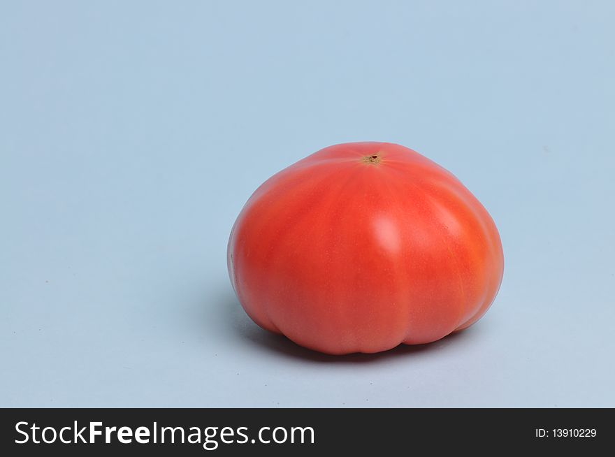 One tomato in a light blue background