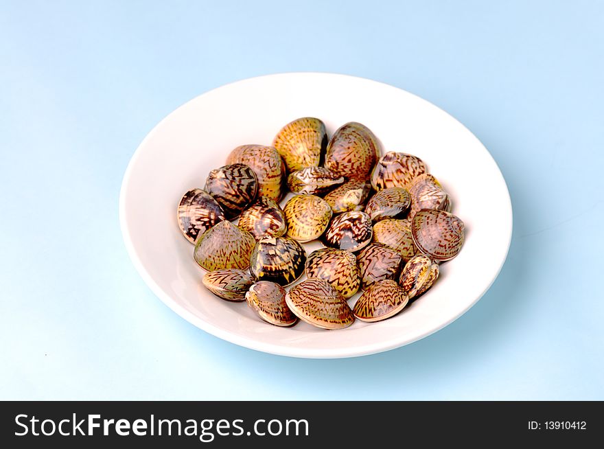 A plate of clams in a light blue background