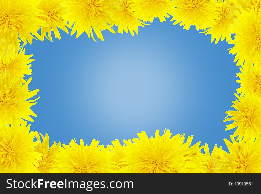 Background with dandelions.
