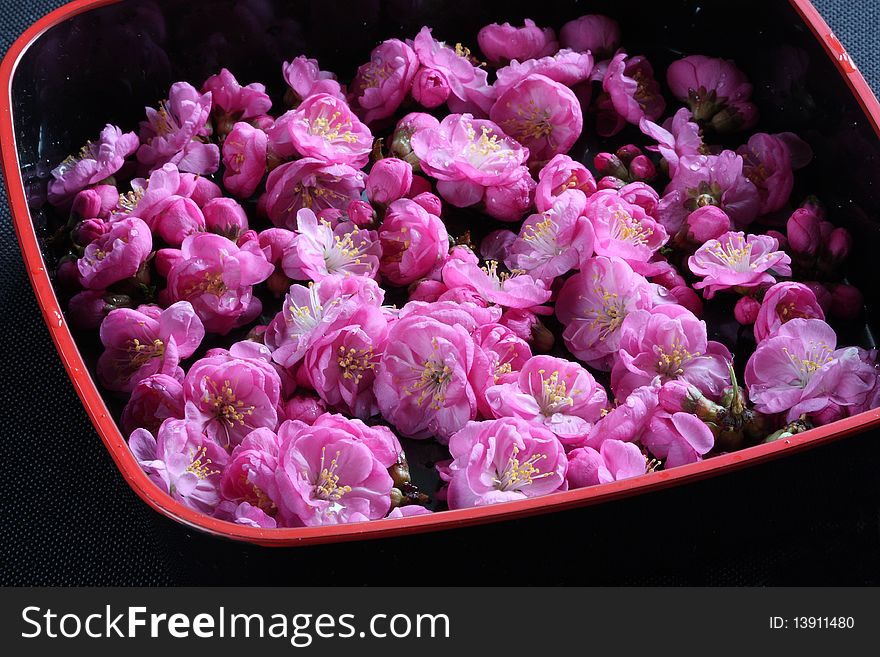 Flowers in plate with black background. Flowers in plate with black background