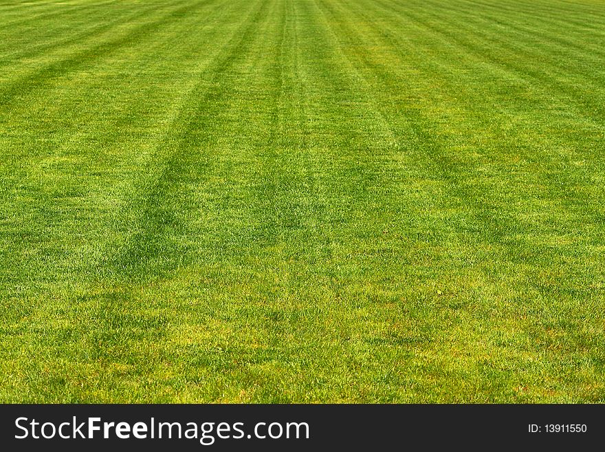 Mowed football playground with fresh green grass