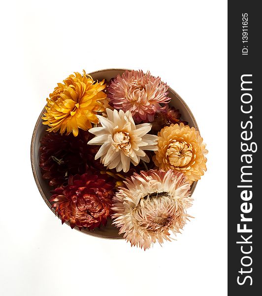 Dry flowers in porcelain cup