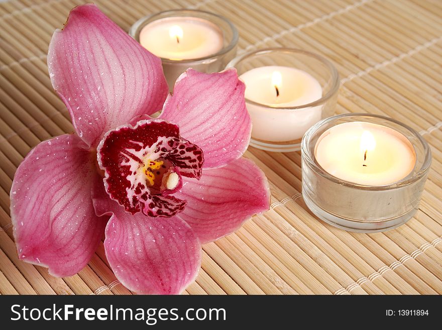 Pink orchid and burning candles