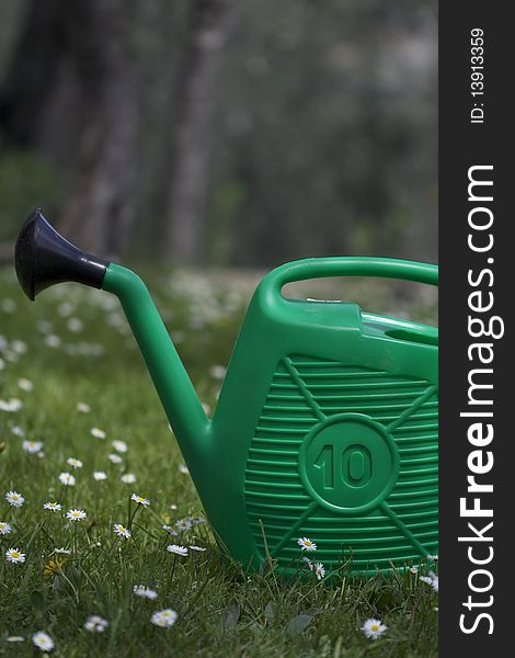 Green watering can on a field of daisies.