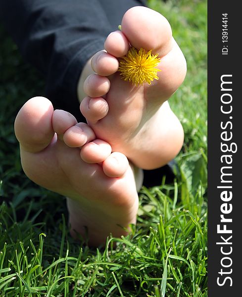 Woman foot with yellow flower. Woman foot with yellow flower