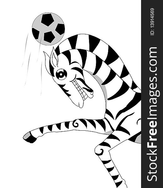 Zebra.football
